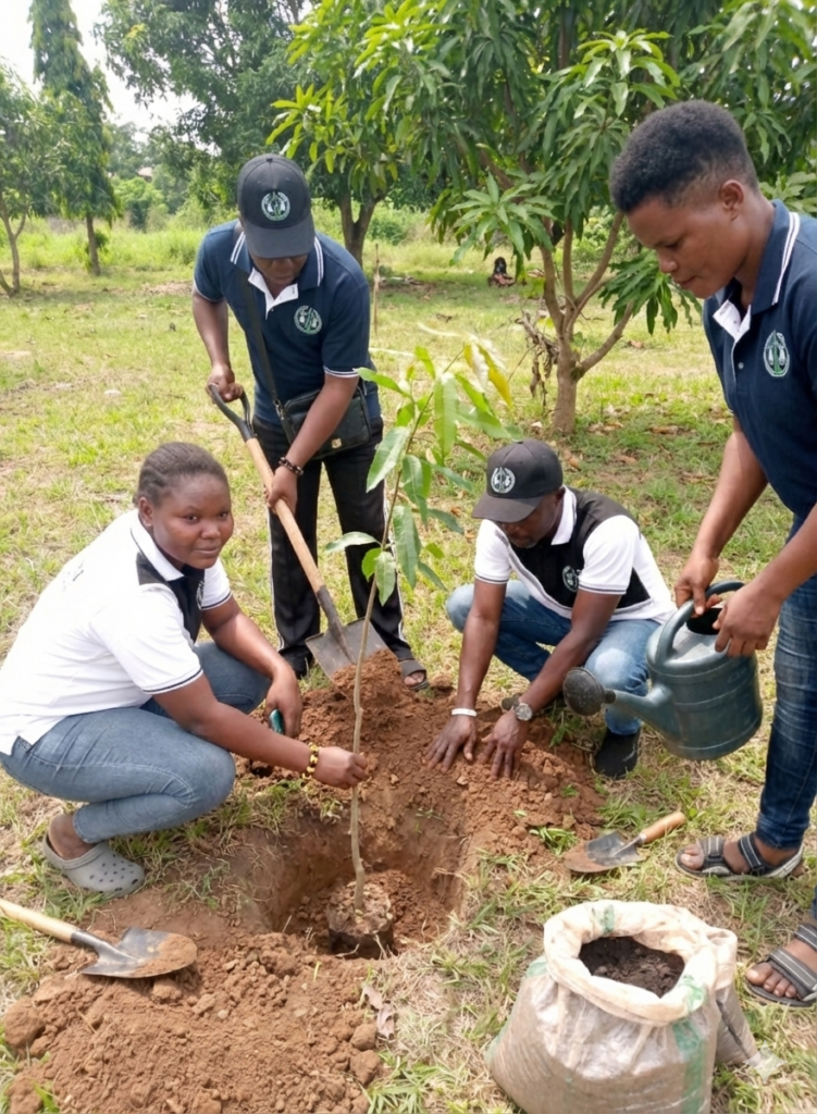 The Naija CAP Project: Nigeria Clean Air Project​